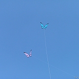 Penvins-festival -2006 -0306
